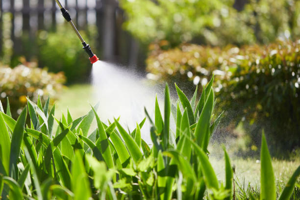 24/7 Emergency Bed Bug Control experts in Bellevue, WA