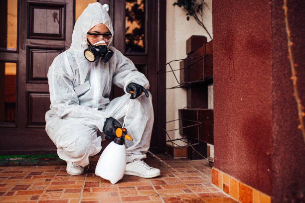 Reliable Bed Bug Control contractor in Bellevue, WA by Nex Pest Control
