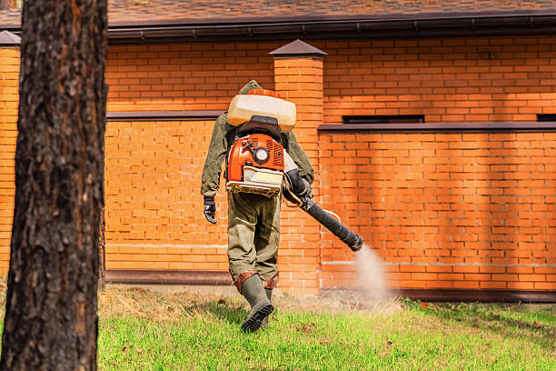 Trusted Rodent Control service in Bellevue, WA - Nex Pest Control
